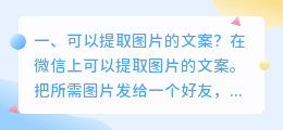 可以提取图片的文案?