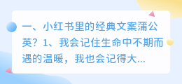 小红书里的经典文案蒲公英?