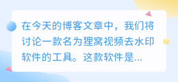 狸窝视频去水印软件