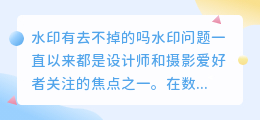 水印有去不掉的吗