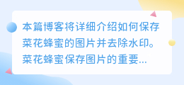 菜花蜂蜜保存图片去水印