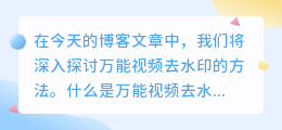 万能视频去水印