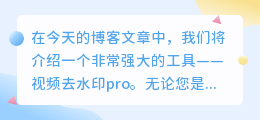 视频去水印pro