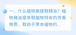 什么植物能提取精油?