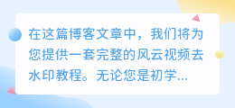 风云视频去水印教程全集