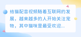 给猫配音视频