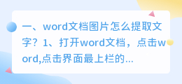 word文档图片怎么提取文字?