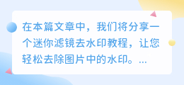 迷你滤镜去水印教程图片