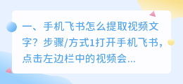 手机飞书怎么提取视频文字?