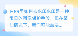 在pr里如何去水印