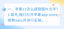 苹果12怎么提取图片文字？