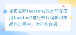 facetun2怎么去水印