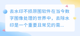 去水印不损原图软件