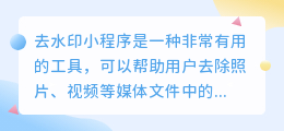 去水印小程序好做吗