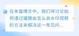 獾猪血怎么去水印视频