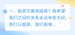 姐弟文案高级感?