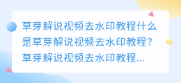 草芽解说视频去水印教程