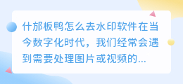 什邡板鸭怎么去水印软件