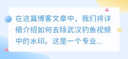 武汉钓鱼视频去水印教程