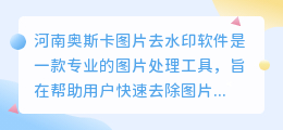 河南奥斯卡图片去水印软件
