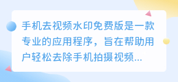 手机去视频水印免费版