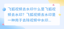 飞狐视频去水印