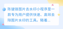陈键锋图片去水印小程序