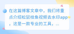 松鼠桂鱼视频去水印app