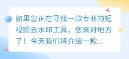 短视频去水印工具