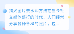 猎犬图片去水印方法