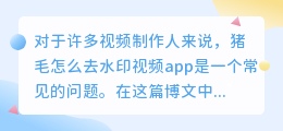 猪毛怎么去水印视频app