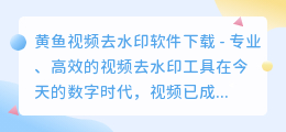 黄鱼视频去水印软件下载