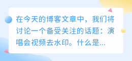 演唱会视频去水印