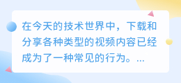 程序下载视频去水印