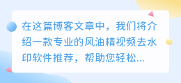 风油精视频去水印软件推荐