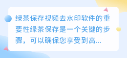 绿茶保存视频去水印软件