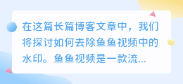 鱼鱼视频去水印