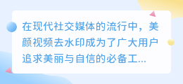 美颜视频去水印