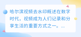哈尔滨视频去水印