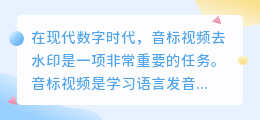 音标视频去水印
