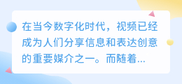 一对一视频去水印
