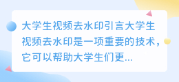 大学生视频去水印