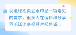 羽毛球视频去水印