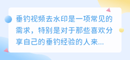 垂钓视频去水印