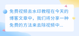 免费视频去水印教程