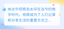 纳达尔视频去水印
