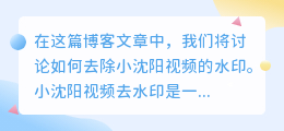 小沈阳视频去水印
