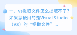 vs提取文件怎么提取不了?