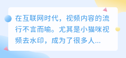 小猫咪视频去水印