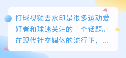 打球视频去水印